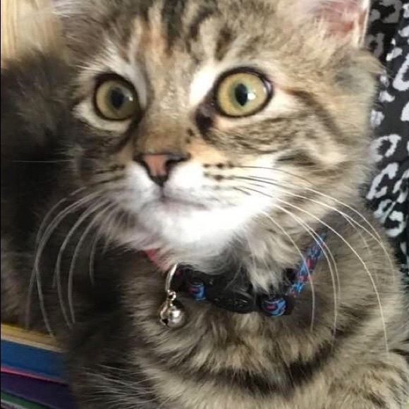 Meet your Posher, Anne - Picture 6 of 8